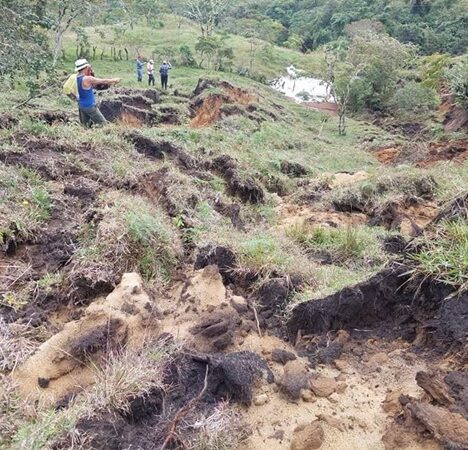 SHORT-MEDIUM-AND-LONG-TERM-ACTION-PLAN-TO-COUNTER-THE-RATE-OF-DEFORESTATION-IN-THE-AMAZON-COLOMBIA.