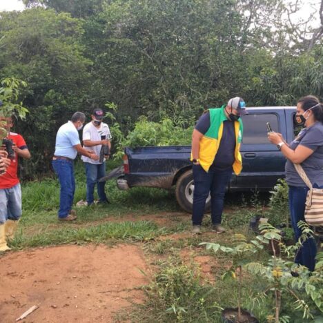 STRATEGIC REFORESTATION TO FIGHT AGAINST EROSION IN THE COLOMBIAN AMAZON