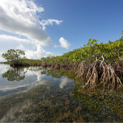 ECOTOURISM PLAN BASED ON INTEGRATED WATER MANAGEMENT IN THE COLOMBIAN AMAZON