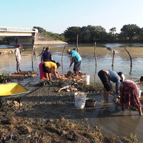 PHOTOVOLTAIC ENERGY PROGRAM FOR WATER SECURITY IN THE VICTIMS OF THE ARMED CONFLICT IN COLOMBIA